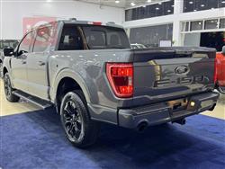 فۆرد F-150